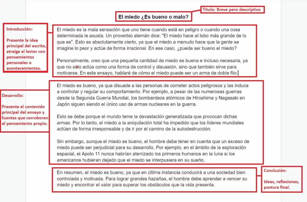 Cómo hacer un ensayo: Guía con ejemplos y plantilla APA